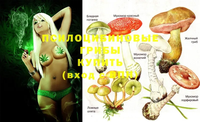 Галлюциногенные грибы GOLDEN TEACHER  MEGA как зайти  Североуральск 